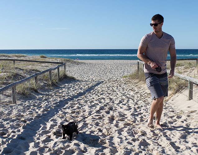 nathan the beach cat walking on a harness